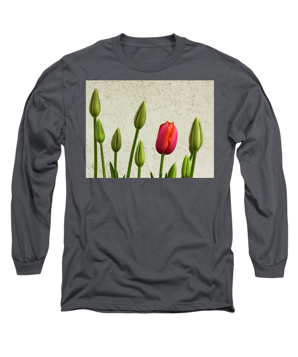 Flowers Long Sleeve T-Shirt featuring the photograph Budding Out by Ginger Stein