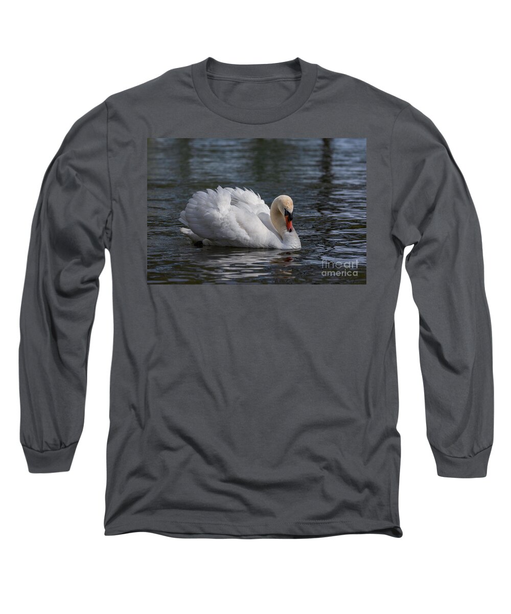 Photography Long Sleeve T-Shirt featuring the photograph Busking Swan by Alma Danison