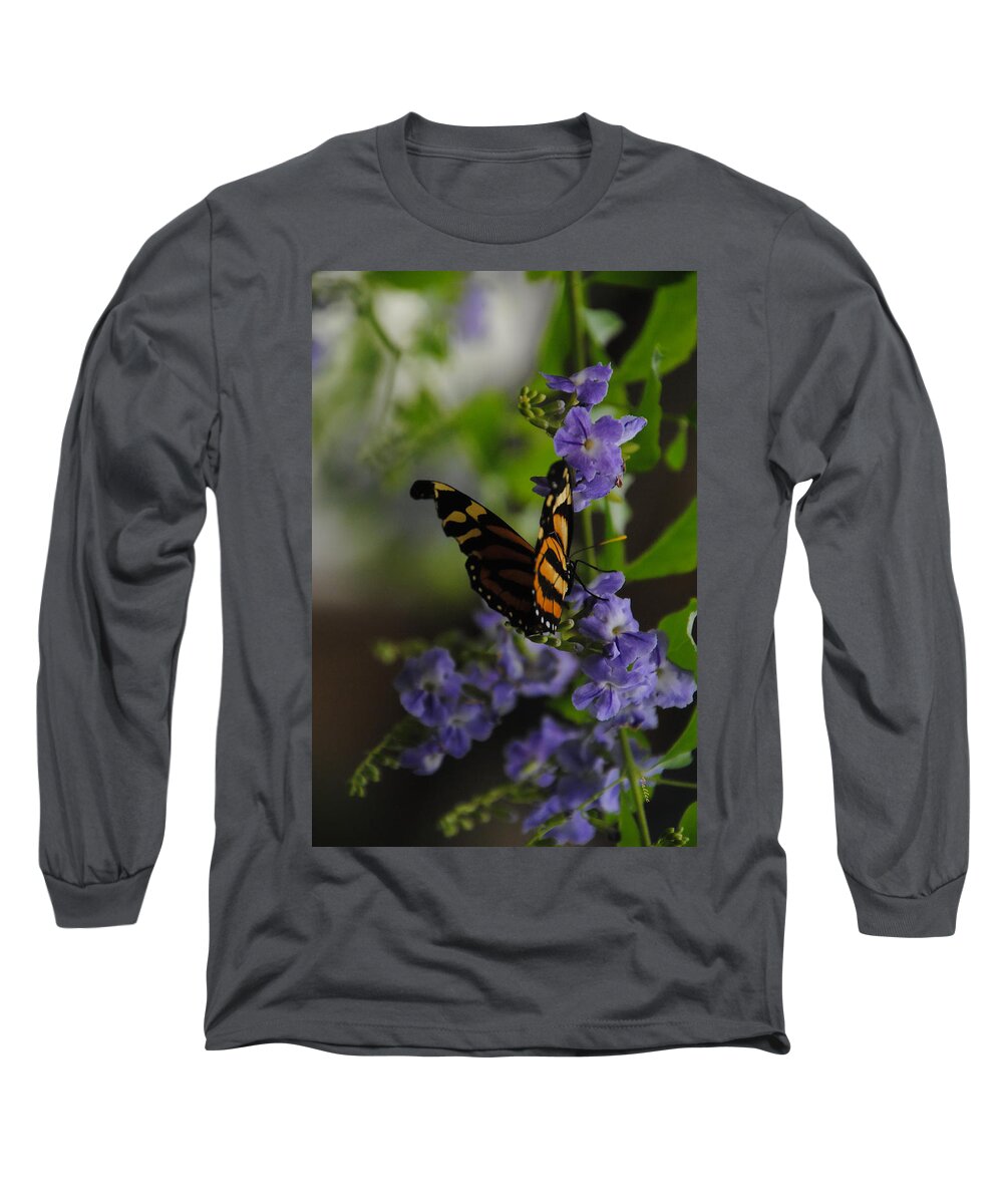Butterfly Long Sleeve T-Shirt featuring the photograph Butterfly in Shadow by Vallee Johnson