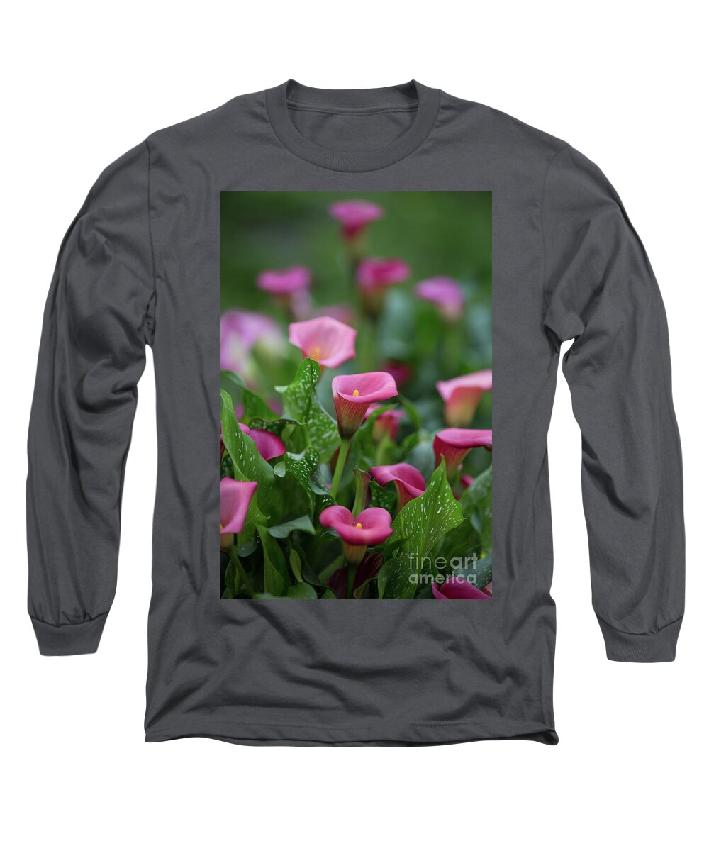 Calla Lilies Long Sleeve T-Shirt featuring the photograph Calla Lilies by Eva Lechner