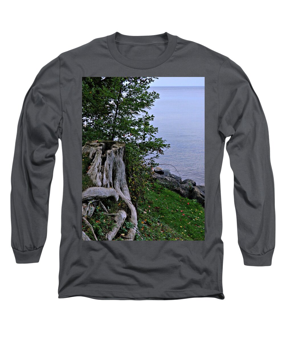 Can I Be Your Seat Long Sleeve T-Shirt featuring the photograph Can I Be Your Seat by Cyryn Fyrcyd