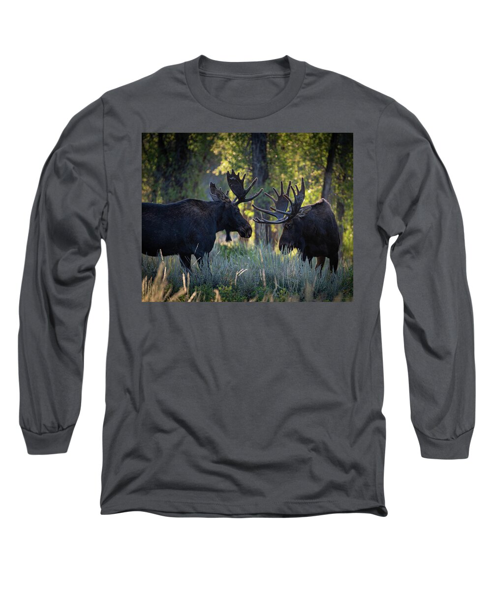 Moose Long Sleeve T-Shirt featuring the photograph Challenge by Phil Abrams