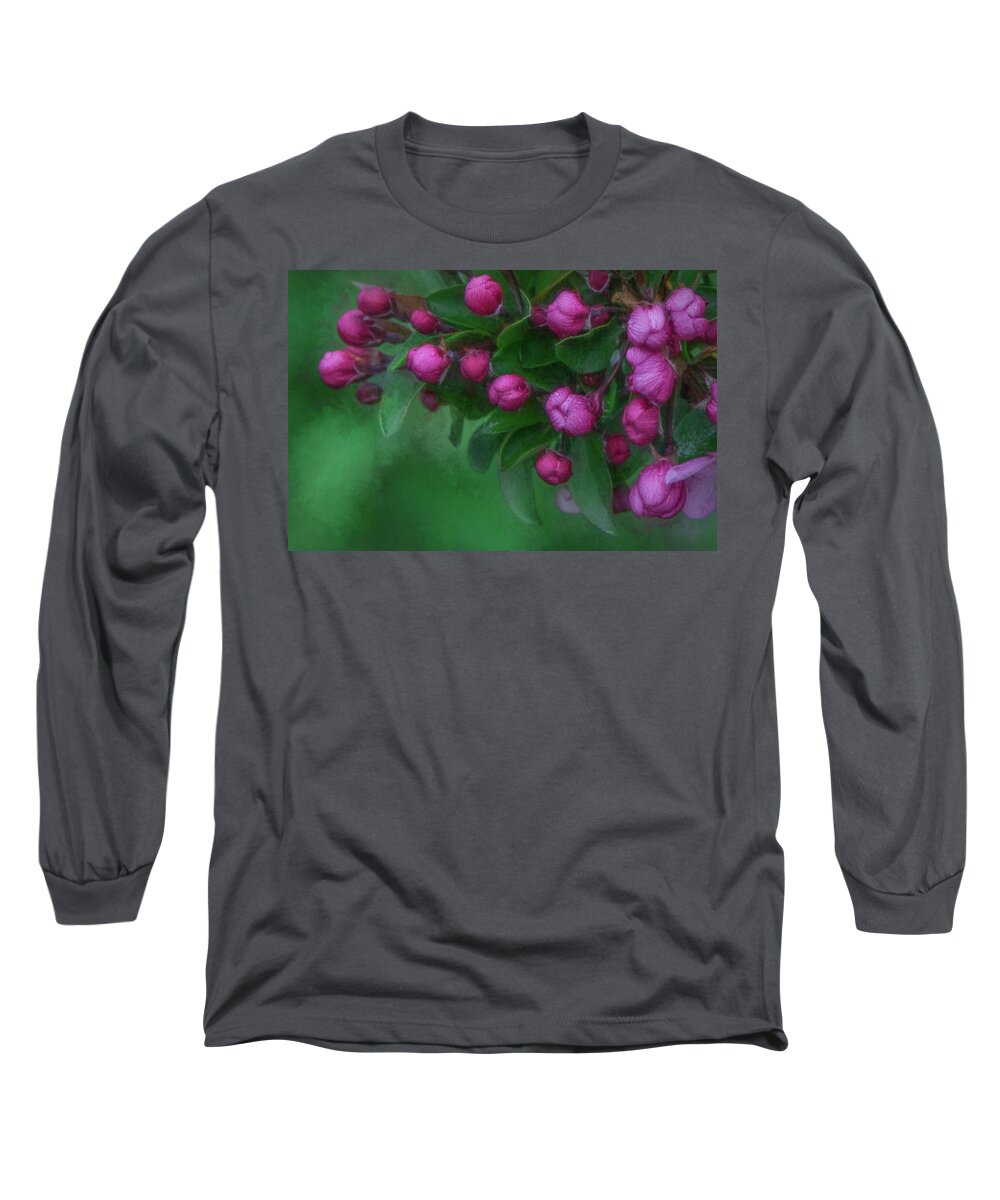 Flowers Long Sleeve T-Shirt featuring the photograph Purple Plum Blossoms by Kevin Lane