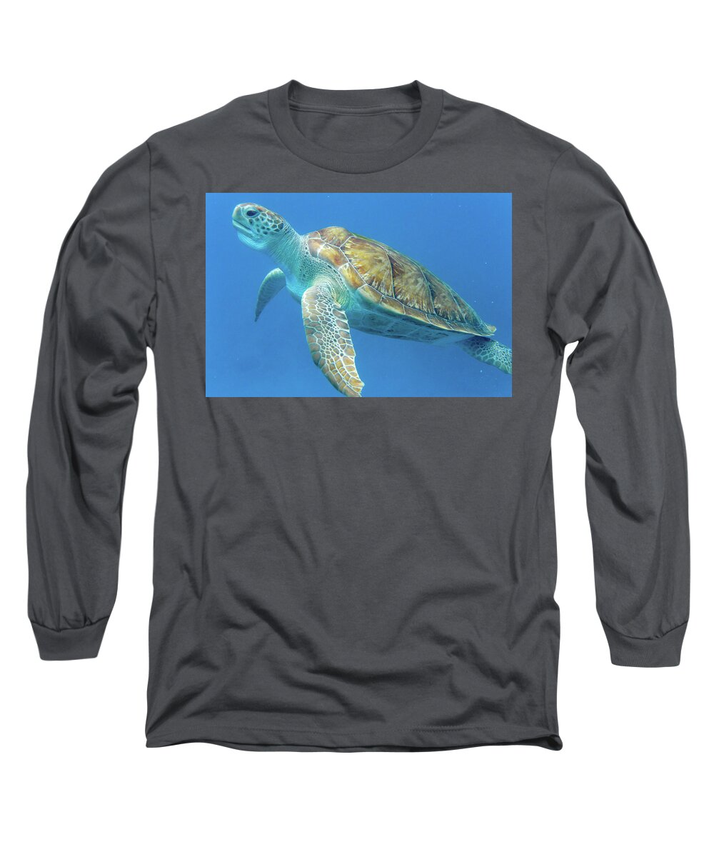 Turtle Long Sleeve T-Shirt featuring the photograph Close up sea turtle by Mark Hunter