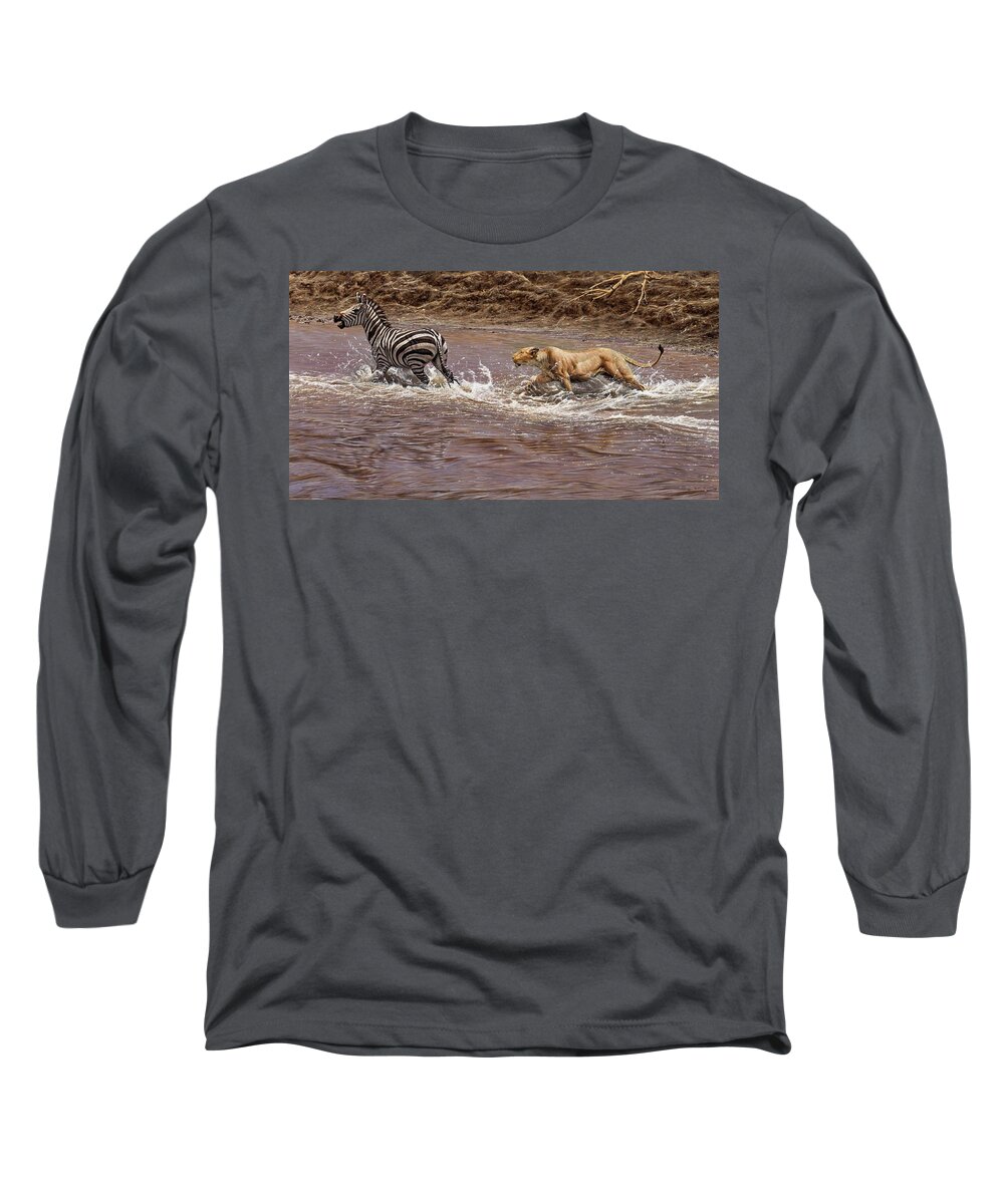 Paintings Long Sleeve T-Shirt featuring the painting Closing In - Lion Chasing a Zebra by Alan M Hunt