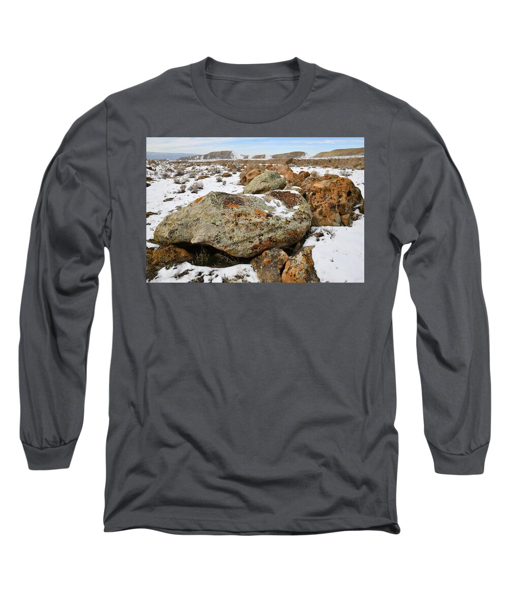 Book Cliffs Long Sleeve T-Shirt featuring the photograph Color in the Book Cliff Desert by Ray Mathis