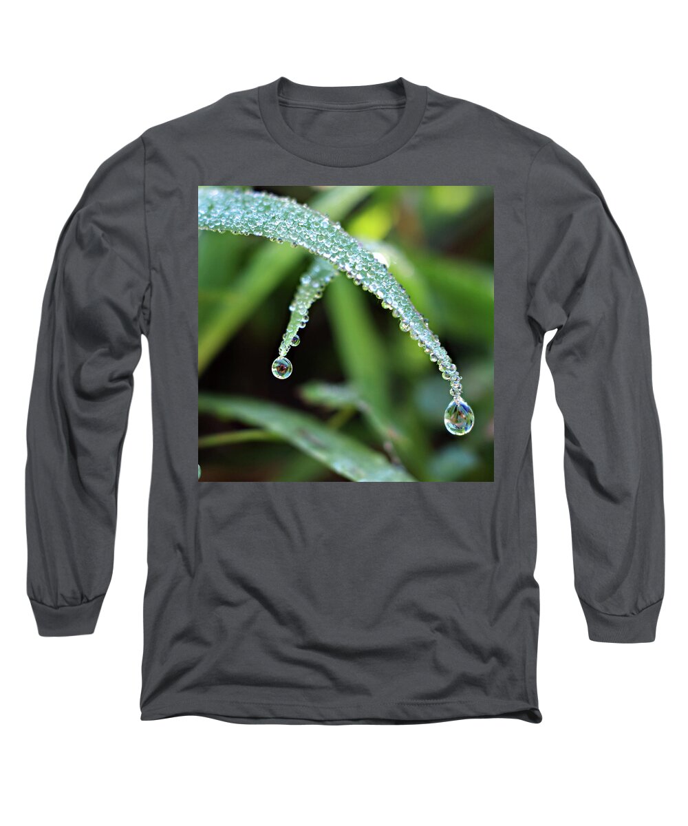 Two Grass Long Sleeve T-Shirt featuring the photograph Crossing over by Michelle Wermuth