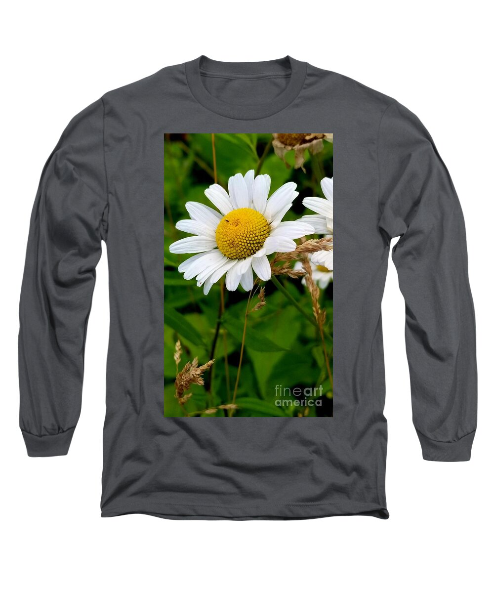 Sea Long Sleeve T-Shirt featuring the photograph Daisy by Michael Graham