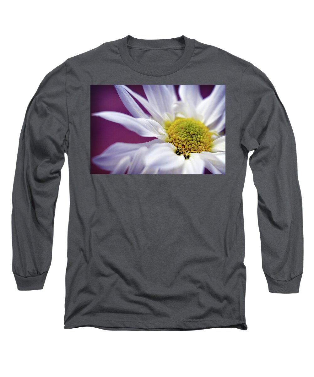 White Daisy Flower Long Sleeve T-Shirt featuring the photograph Daisy Mine by Michelle Wermuth