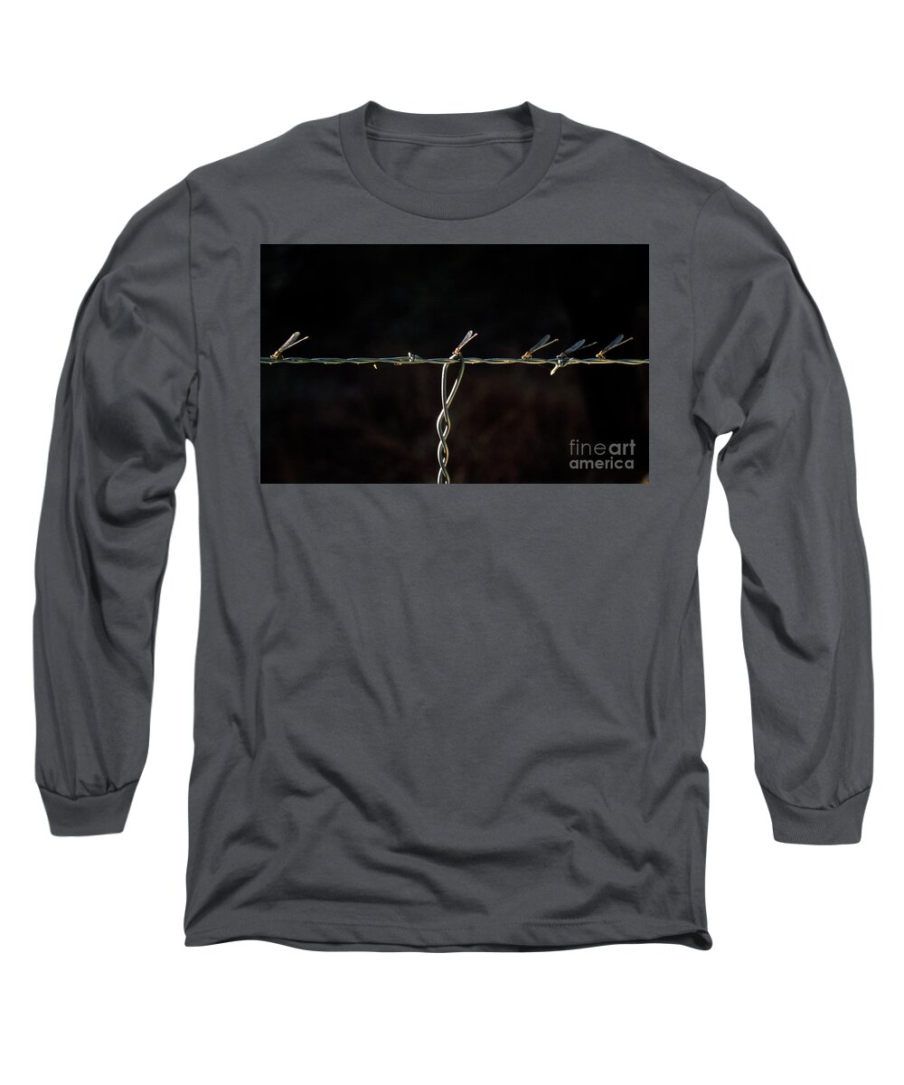 Damselflies Long Sleeve T-Shirt featuring the photograph Damsels in Distress by Randy Oberg