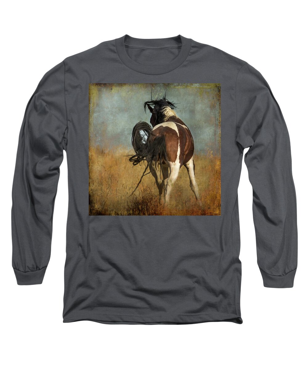 Horse Long Sleeve T-Shirt featuring the photograph Dance by Mary Hone