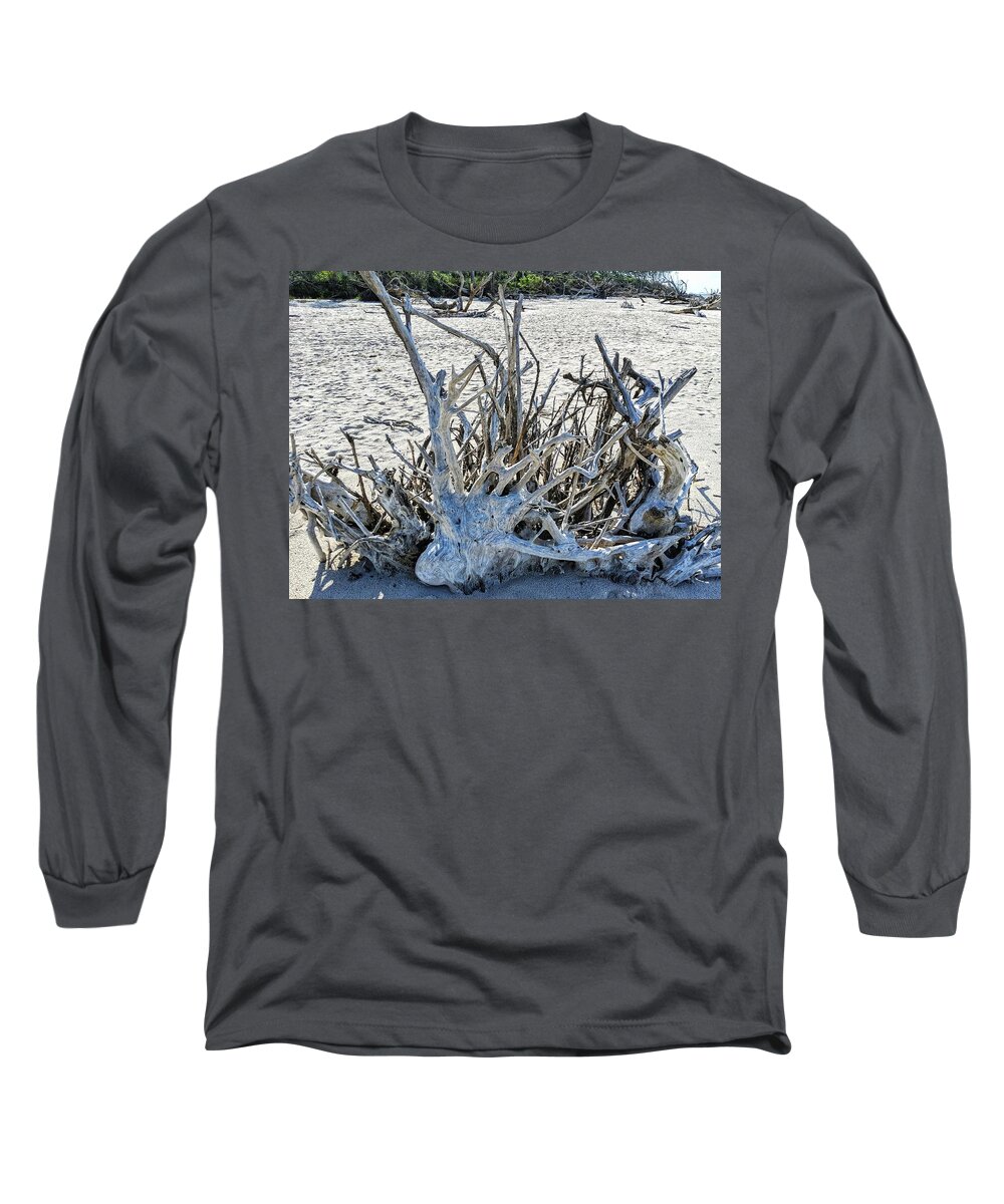 Landscape Long Sleeve T-Shirt featuring the photograph Deep Roots by Portia Olaughlin