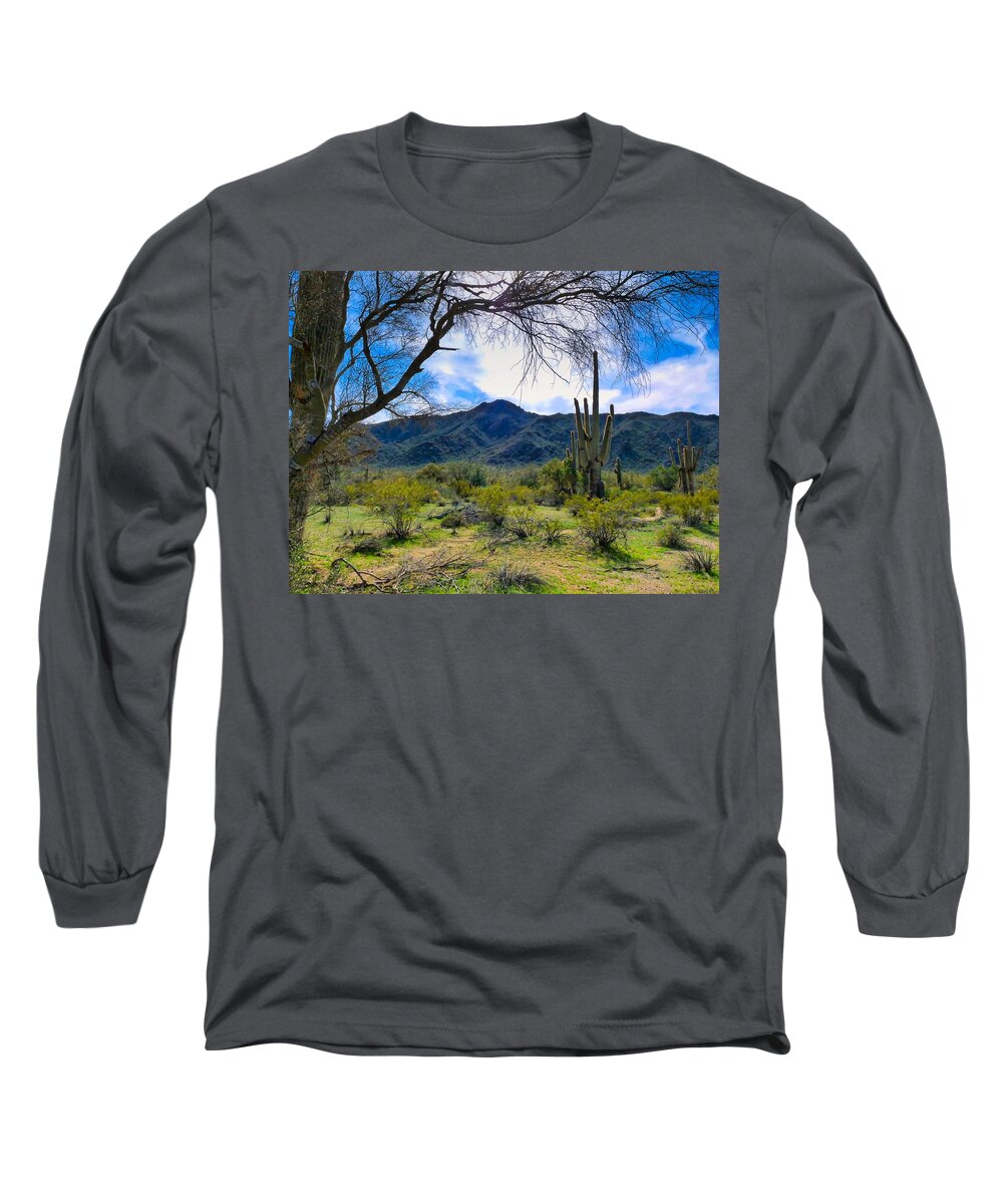 Arizona Long Sleeve T-Shirt featuring the photograph Desert Hiking after Winter Rains by Judy Kennedy