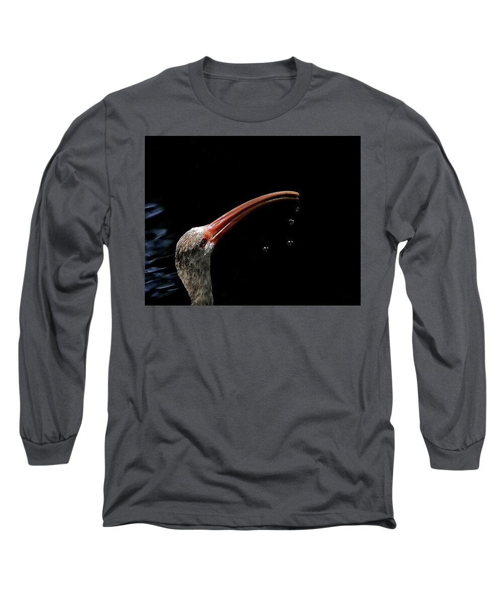 Ibis Long Sleeve T-Shirt featuring the photograph Drinking Ibis by Stuart Harrison