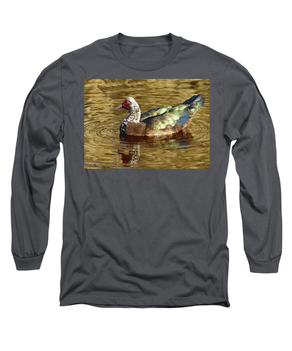 Duck Long Sleeve T-Shirt featuring the photograph Duck on Golden Pond by Margaret Zabor