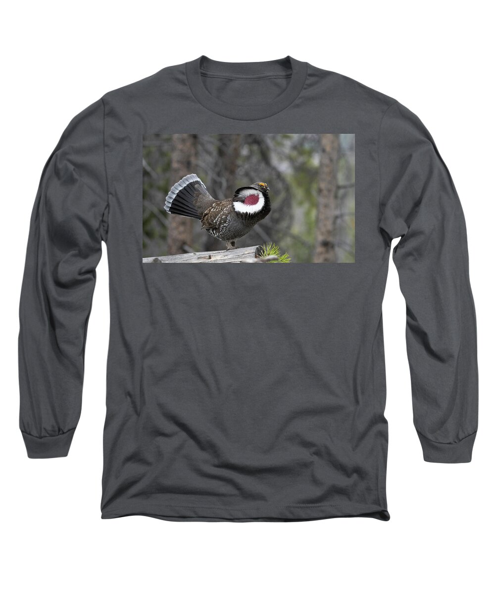 Male Long Sleeve T-Shirt featuring the photograph Dusky Grouse by Patrick Nowotny