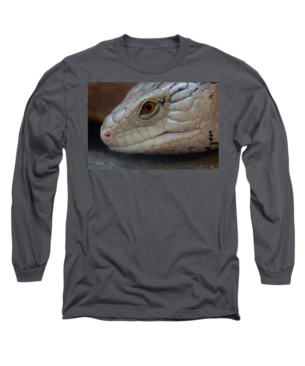Skink Long Sleeve T-Shirt featuring the photograph Eastern Blue Tongued Skink by Steev Stamford