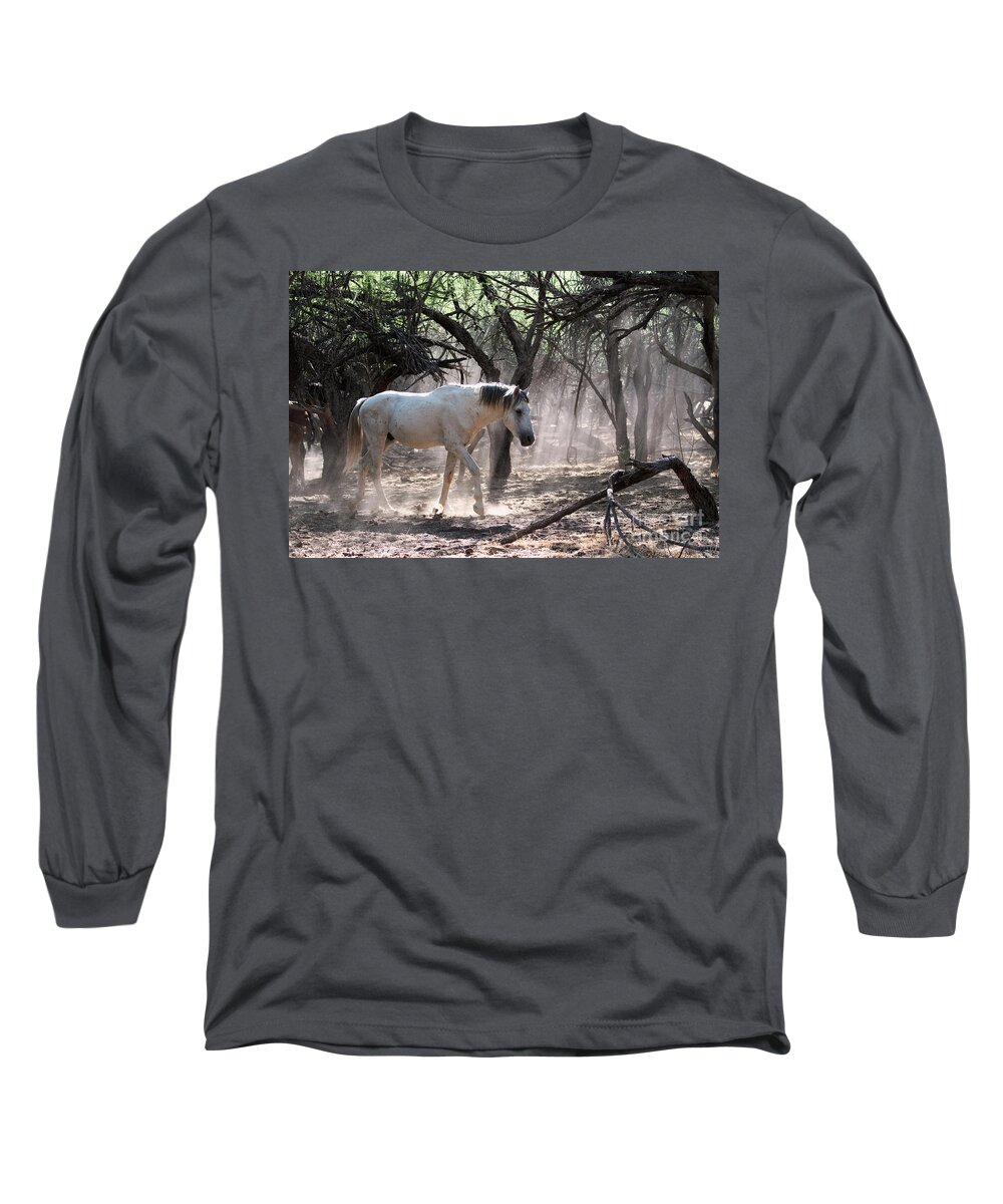 Enchanted Forest Long Sleeve T-Shirt featuring the photograph Enchanted Forest by Shannon Hastings