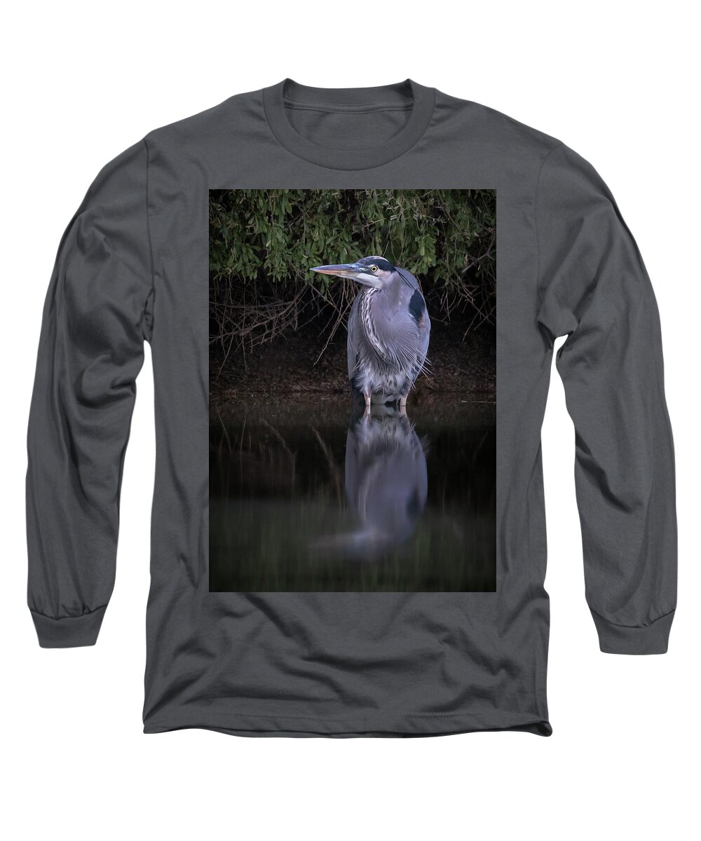 American Southwest Long Sleeve T-Shirt featuring the photograph Evening Stalk by James Capo