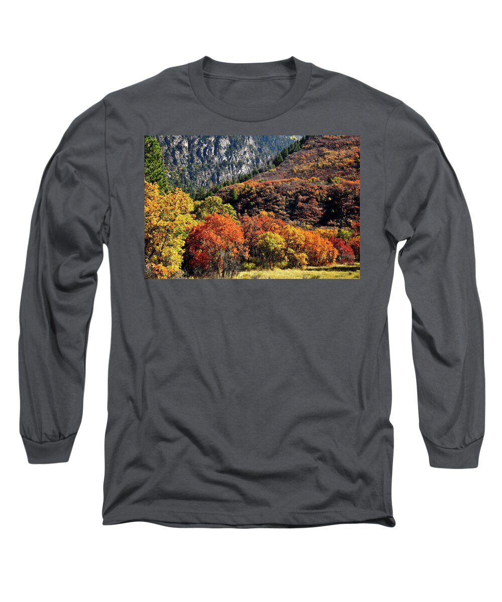 Colorado Long Sleeve T-Shirt featuring the photograph Fall Colored Oaks in Avalanche Creek Canyon by Ray Mathis