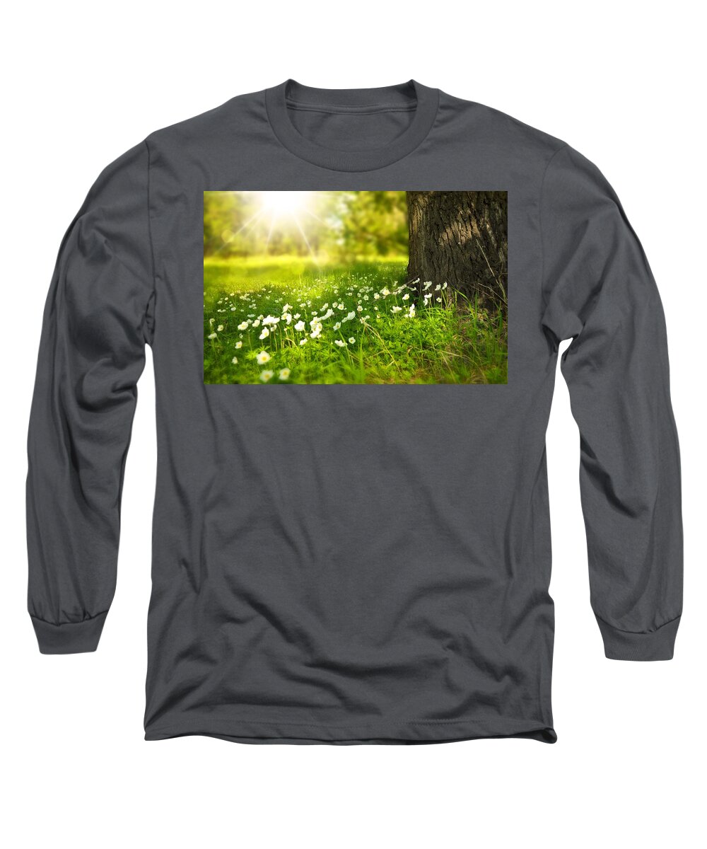 Flowers Long Sleeve T-Shirt featuring the photograph Field of daisies by Top Wallpapers