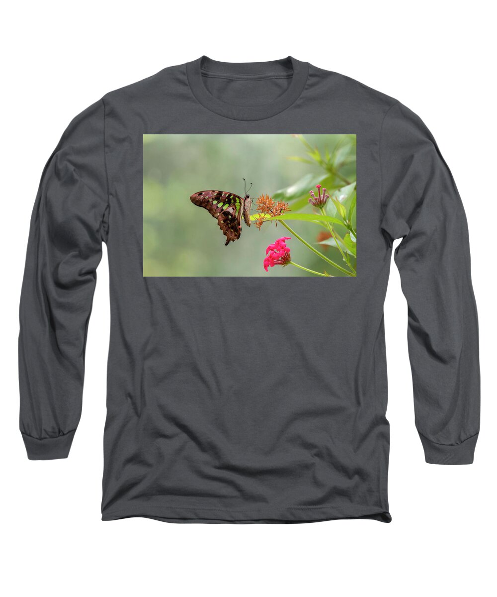 Butterfly Long Sleeve T-Shirt featuring the photograph Flutterby by Edward Kreis