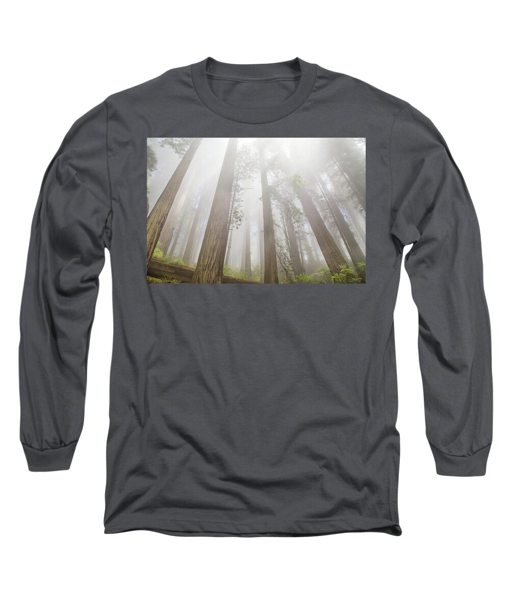 Redwoods Fog Long Sleeve T-Shirt featuring the photograph Fog in the redwoods by Kunal Mehra