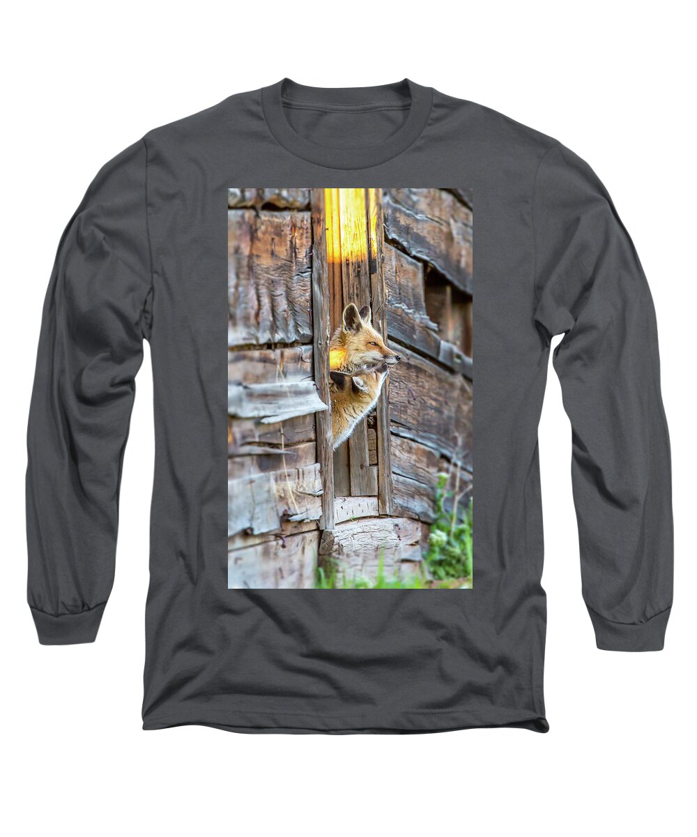 2015 Long Sleeve T-Shirt featuring the photograph Butterfly Kisses by Kevin Dietrich