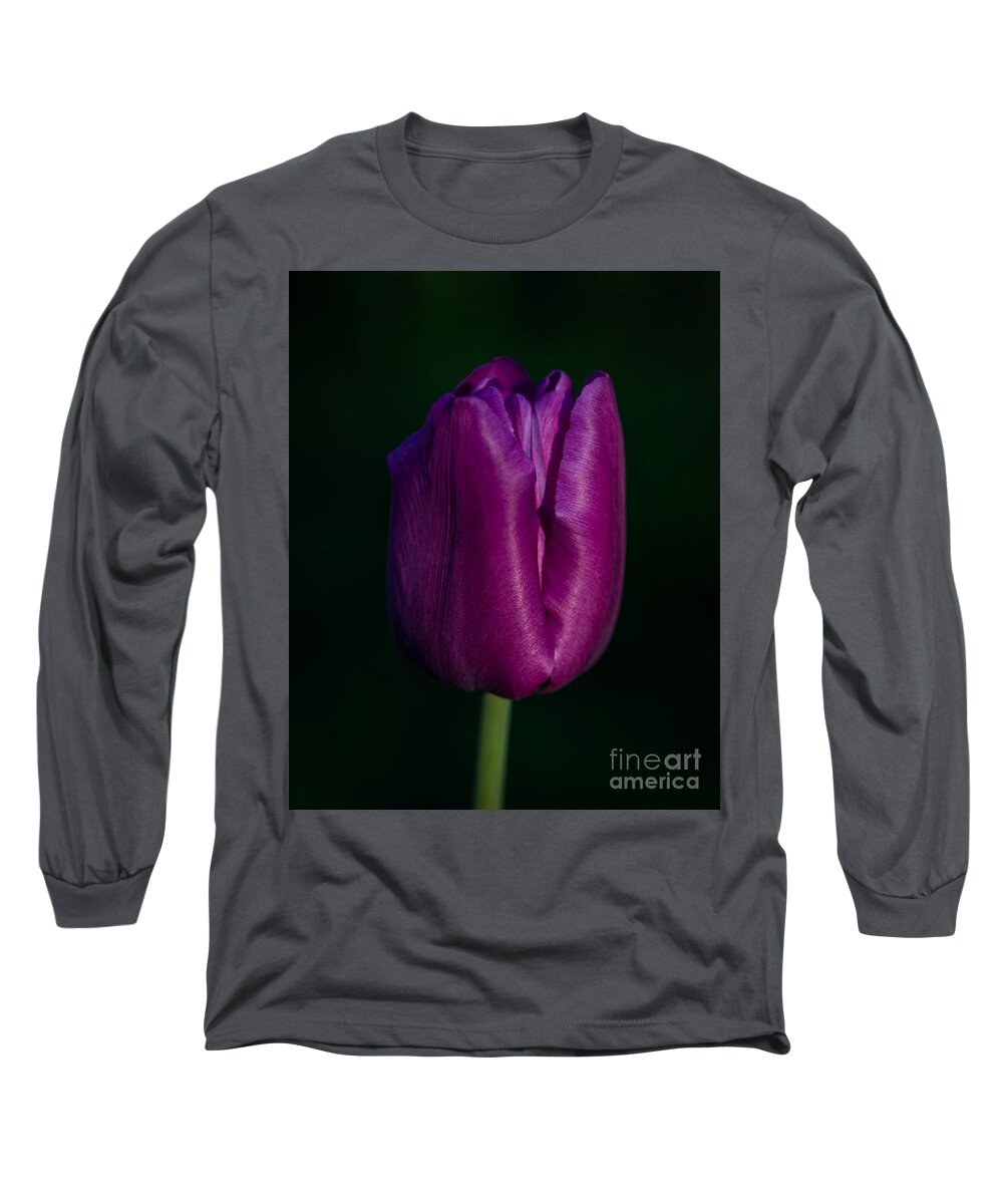 Photography Long Sleeve T-Shirt featuring the photograph Fuchsia Tulip by Alma Danison