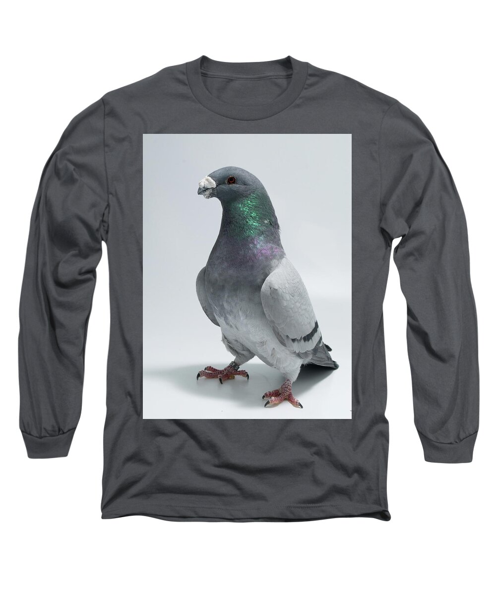 Pigeon Long Sleeve T-Shirt featuring the photograph American Show Racer by Nathan Abbott