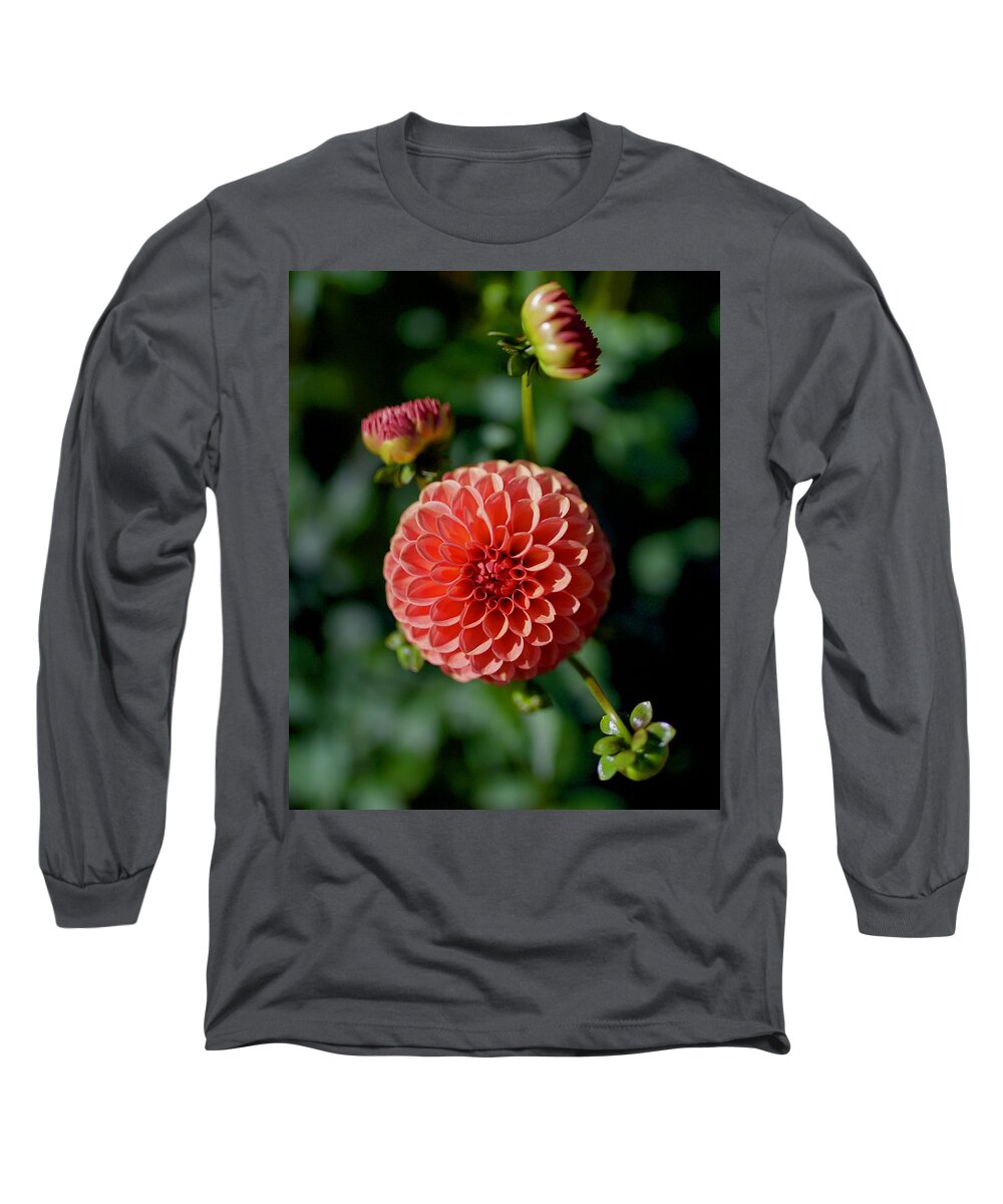 Dahlia Long Sleeve T-Shirt featuring the photograph Gingeroo by Todd Kreuter