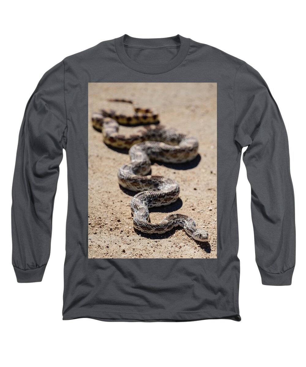 Animals Long Sleeve T-Shirt featuring the photograph Gophersnake in Arizona by James Covello