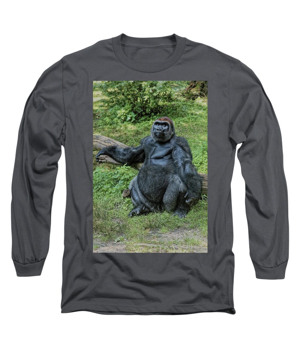 Bronx Zoo Long Sleeve T-Shirt featuring the photograph Gorilla Chillin' by Doolittle Photography and Art