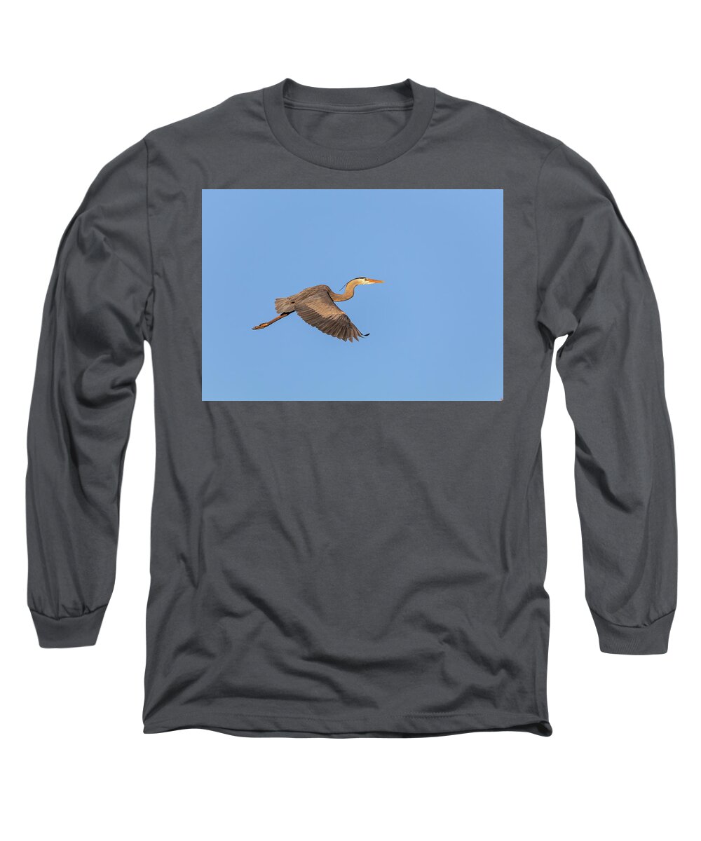 Great Blue Heron Long Sleeve T-Shirt featuring the photograph Great Blue Heron 2019-9 by Thomas Young