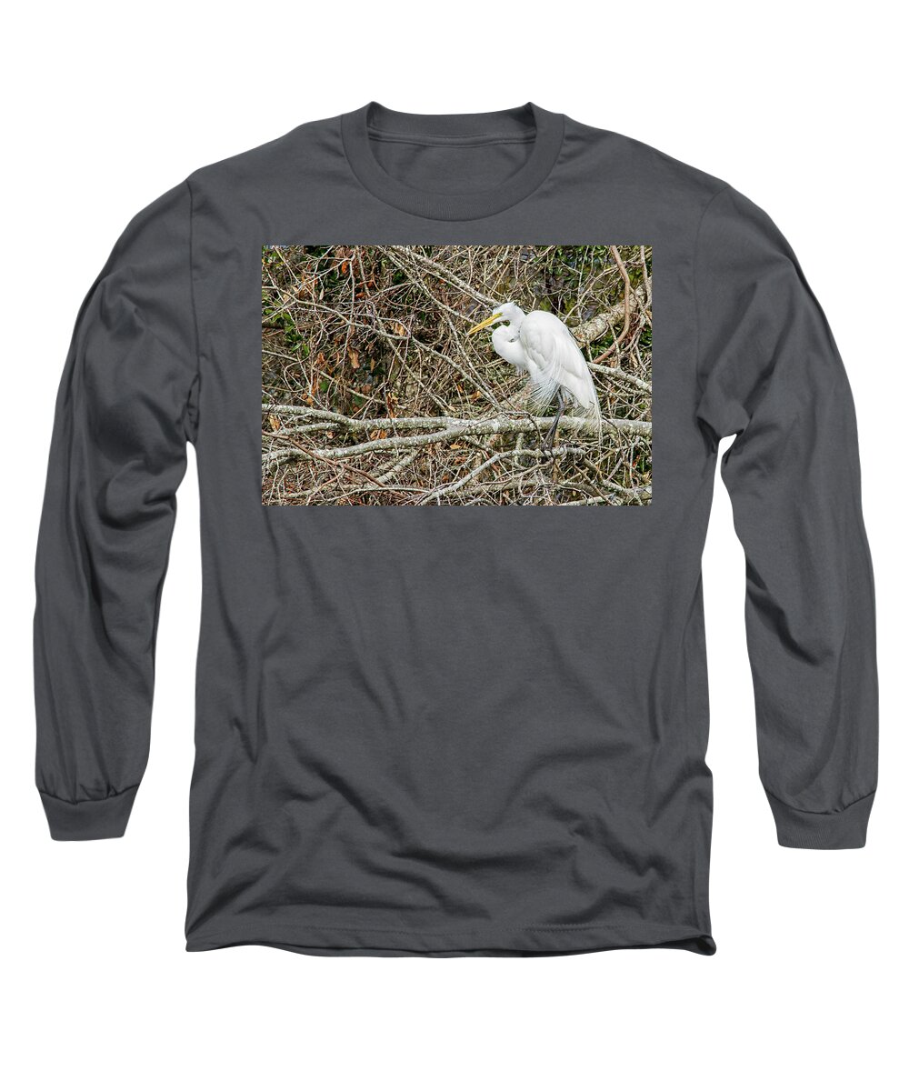 Egret Long Sleeve T-Shirt featuring the photograph Great Egret by Bob Decker