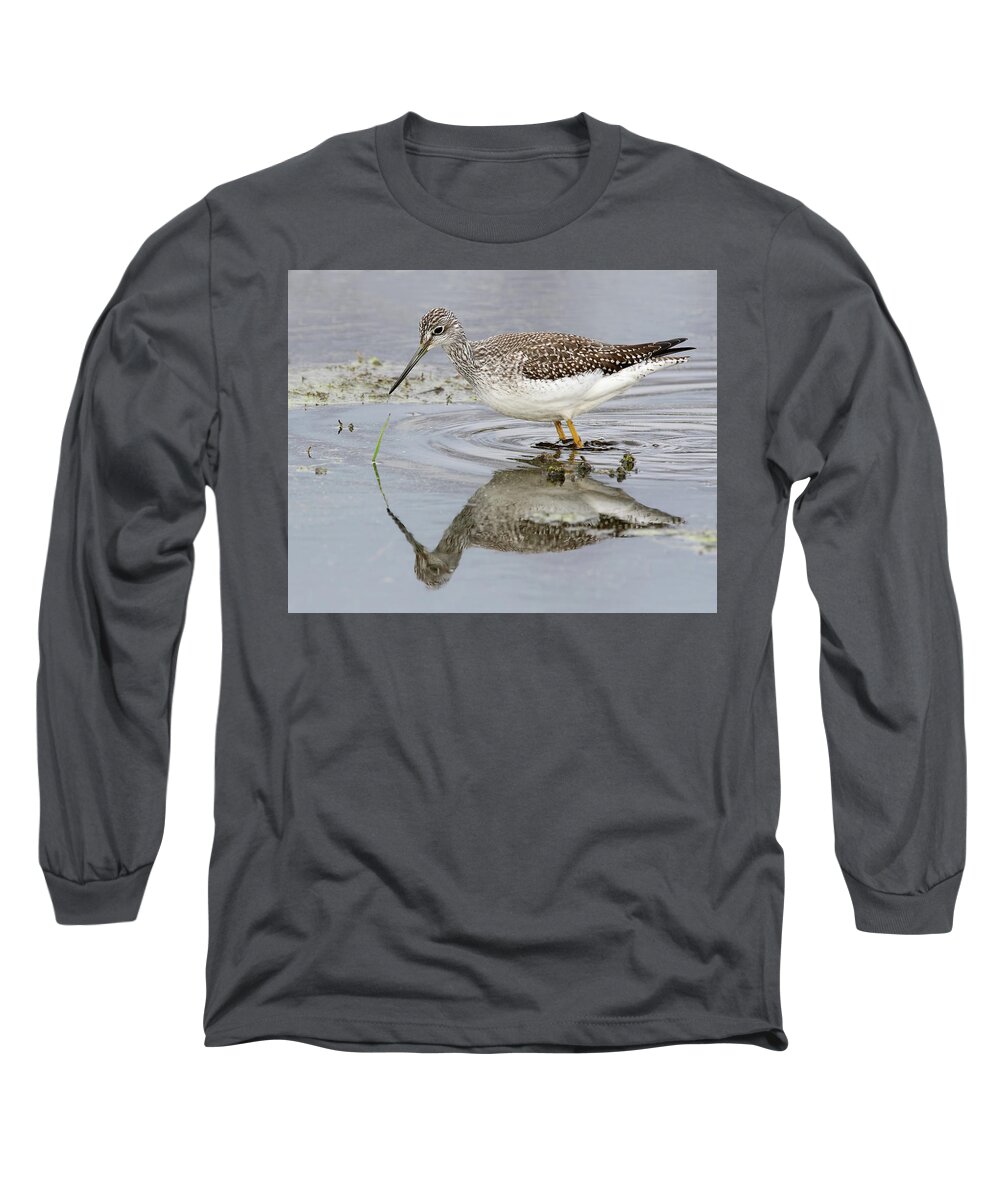 Shorebird Long Sleeve T-Shirt featuring the photograph Greater Yellowlegs by Jim Zablotny
