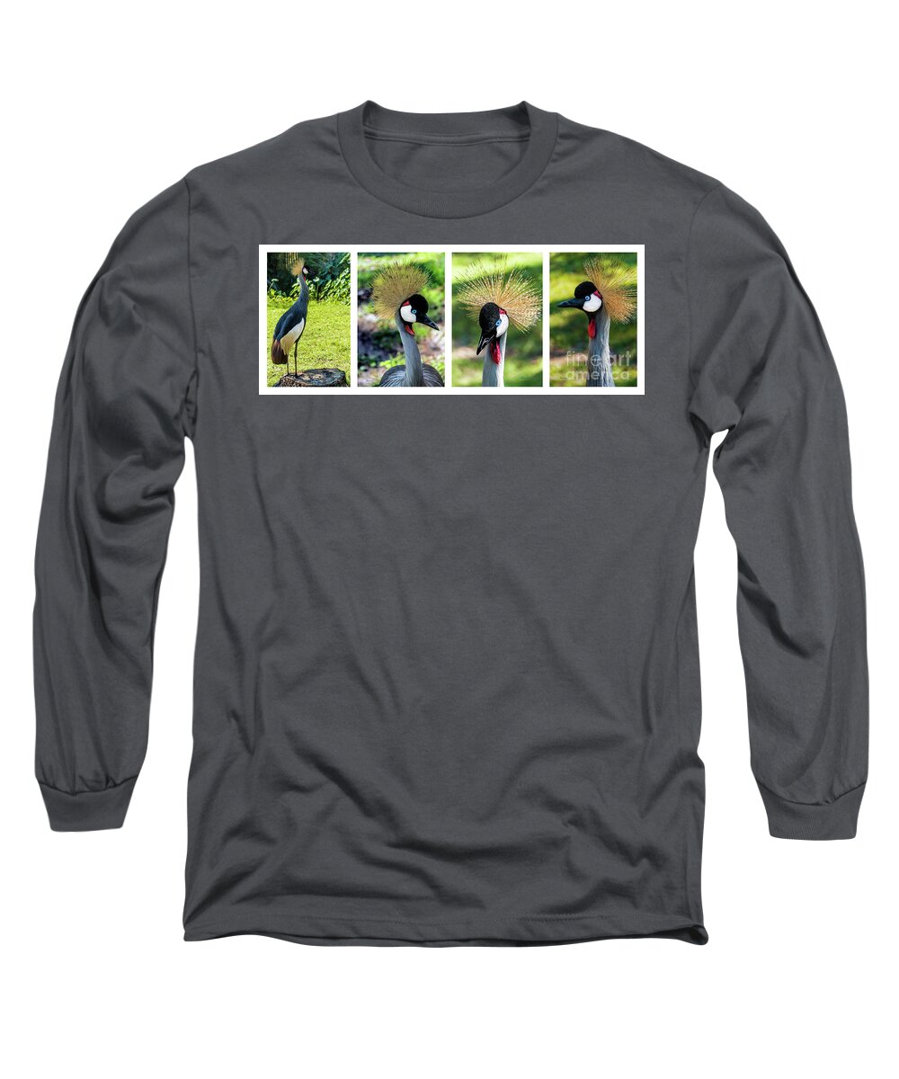Gulf Long Sleeve T-Shirt featuring the photograph Grey Crowned Crane Gulf Shores Al Collage 1 by Ricardos Creations