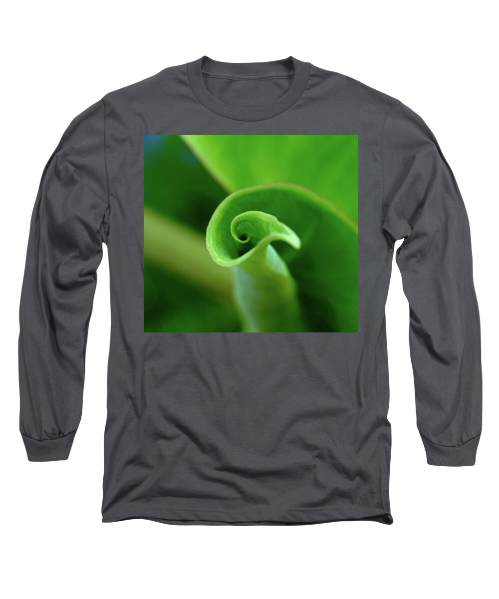 Elephant Ear Leaf Unfurling Curl Round Circle New Growth Green Floral Tropical Plant Nature Pitcher Container Natural Swirl Motion Twirl Shadow Edges Images Direction Bird Shell Green Yellow White Abstract Moods Contemporary Design Long Sleeve T-Shirt featuring the photograph Holding Water by Alida M Haslett