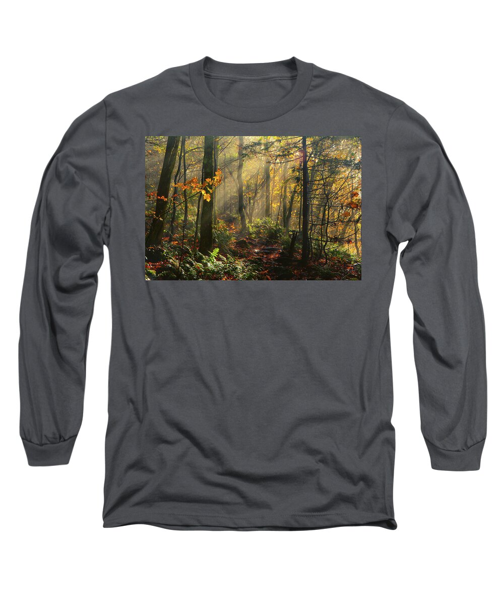 Rays Of Sun After A Storm Long Sleeve T-Shirt featuring the photograph Horizontal Rays of Sun After a Storm by Raymond Salani III