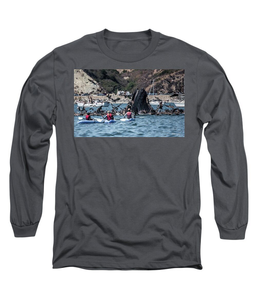 Humpback Long Sleeve T-Shirt featuring the photograph Humpbacks in Avila Harbor by Mike Long