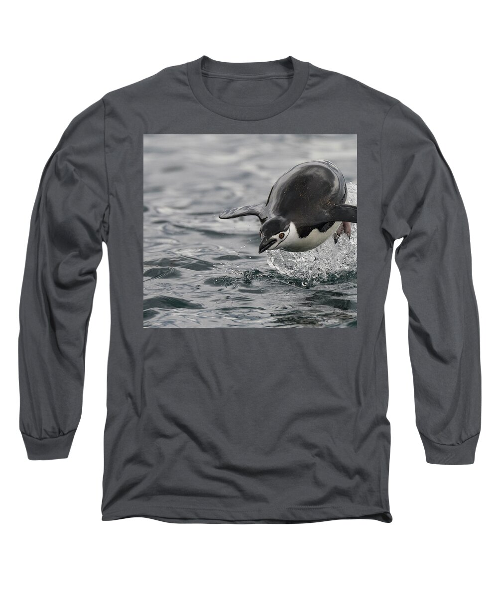 Penguin Long Sleeve T-Shirt featuring the photograph Incoming by Alex Lapidus
