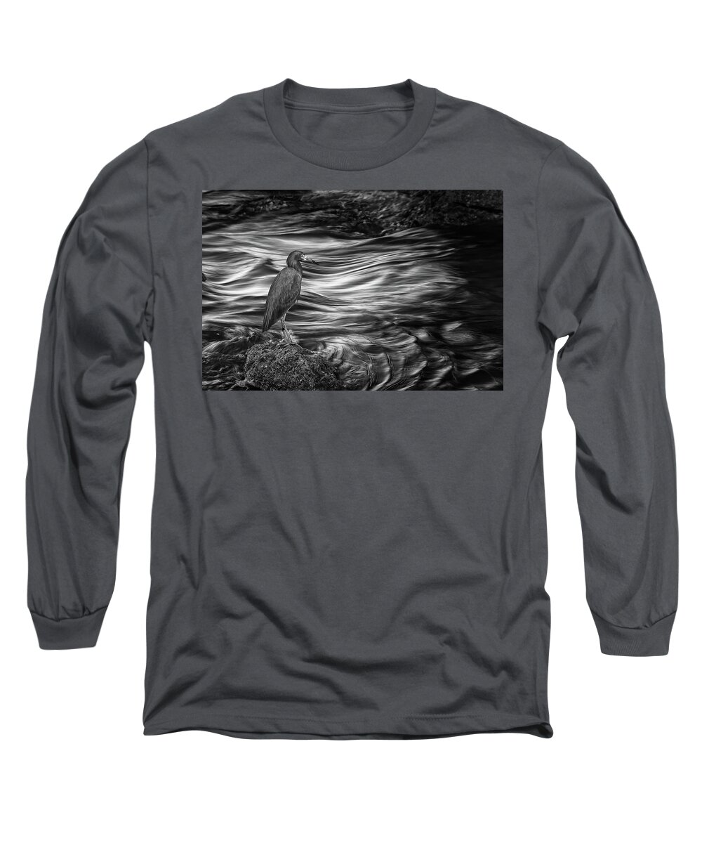 Wildlife Long Sleeve T-Shirt featuring the photograph Inlet Heron 2 by Steve DaPonte