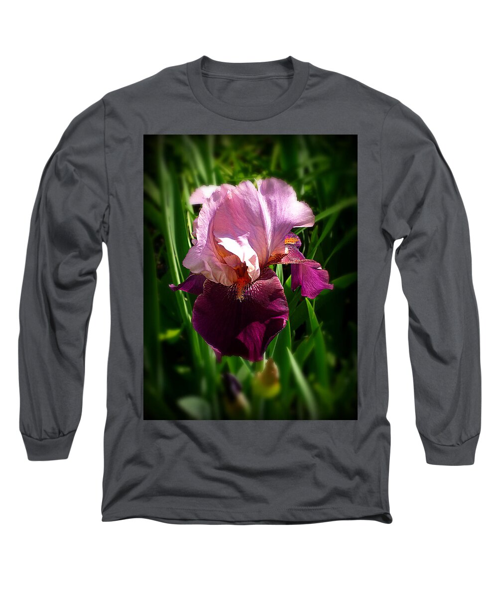 Pink Bearded Iris Long Sleeve T-Shirt featuring the photograph Iris in Pink and Violet by Mike McBrayer