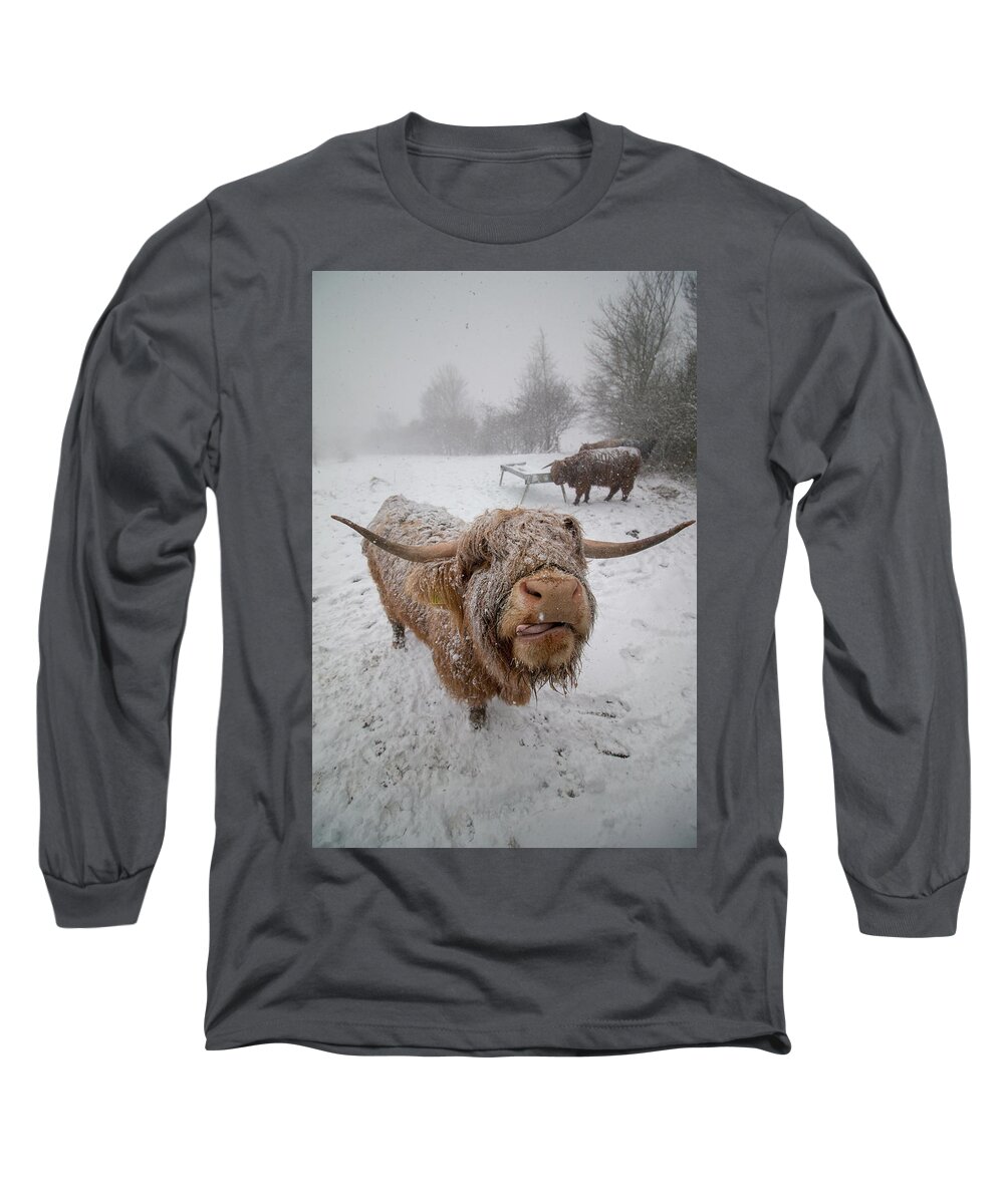 Adam West Long Sleeve T-Shirt featuring the photograph It's Nae Cold by Adam West