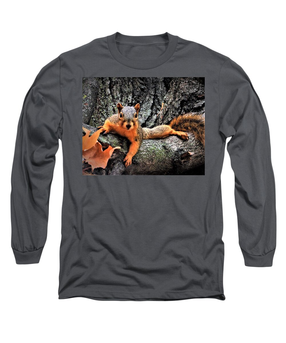 Squirrels Long Sleeve T-Shirt featuring the photograph Just Relaxing by Lori Frisch