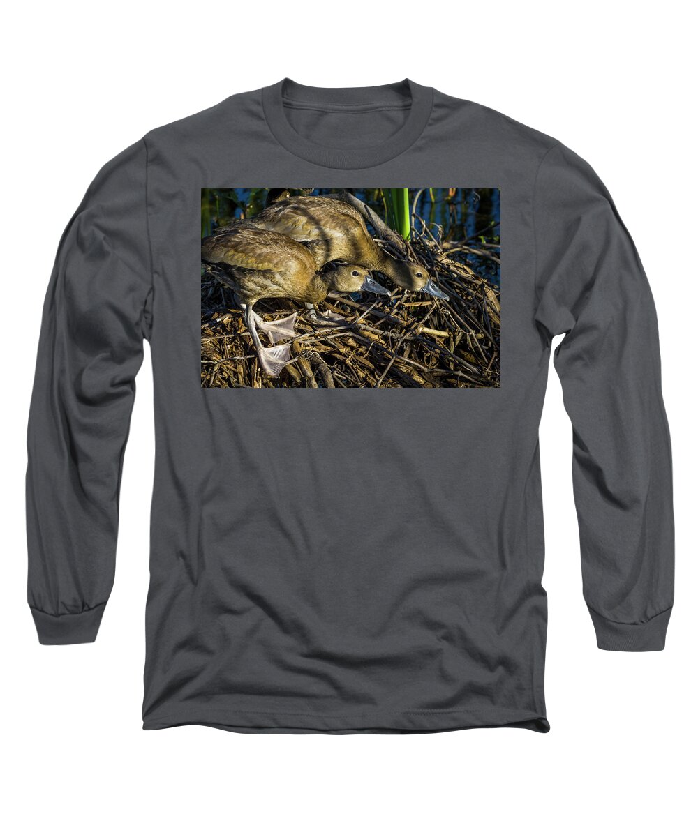 Snwr Long Sleeve T-Shirt featuring the photograph Juvenile by Ray Silva
