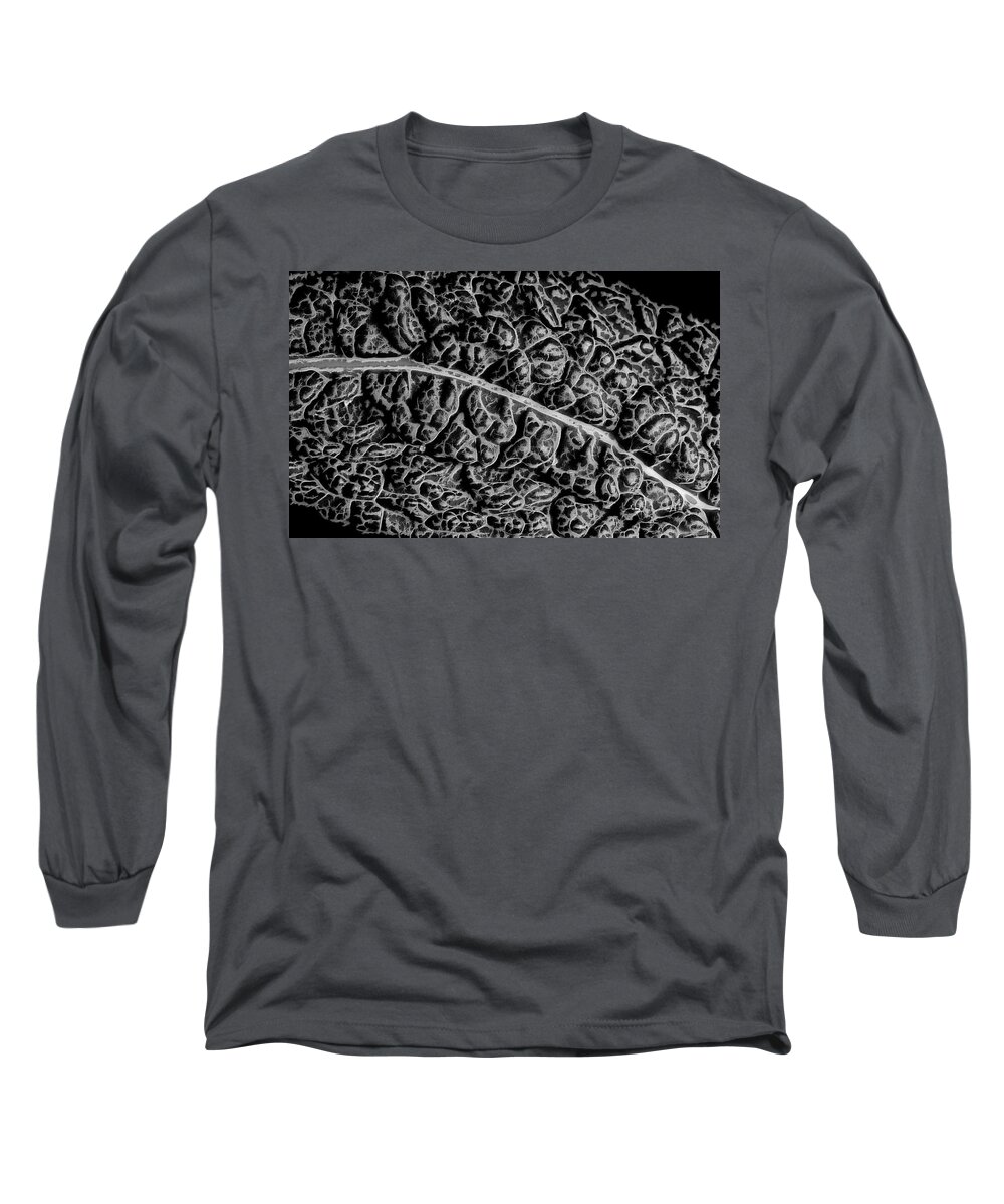 Kale Long Sleeve T-Shirt featuring the photograph Kale leaf in black and white by Alessandra RC
