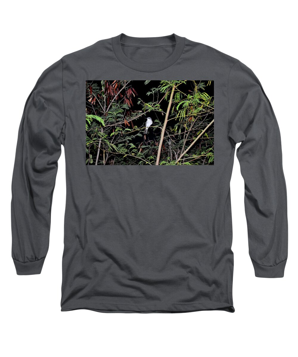 Gray Kingbird Long Sleeve T-Shirt featuring the photograph Kingbird at Night by Climate Change VI - Sales