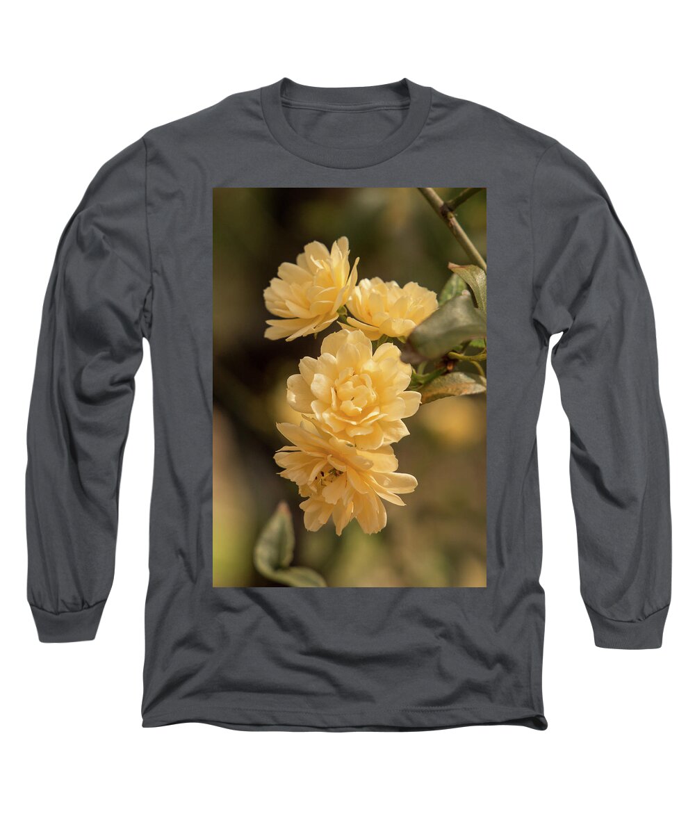 Rose Long Sleeve T-Shirt featuring the photograph Lady Banks in Yellow by E Faithe Lester