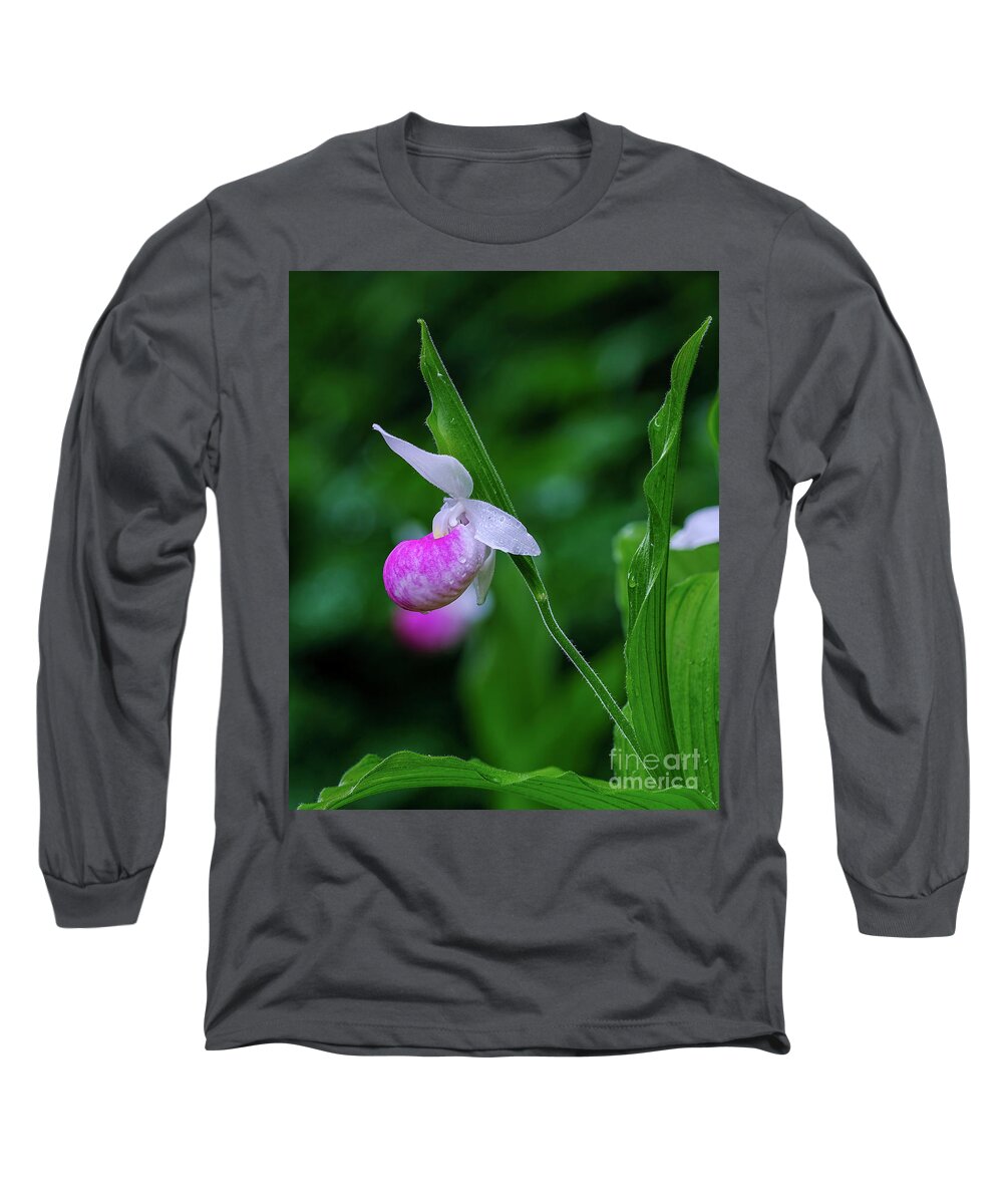 Blossom Long Sleeve T-Shirt featuring the photograph Lady Slipper by Bill Frische